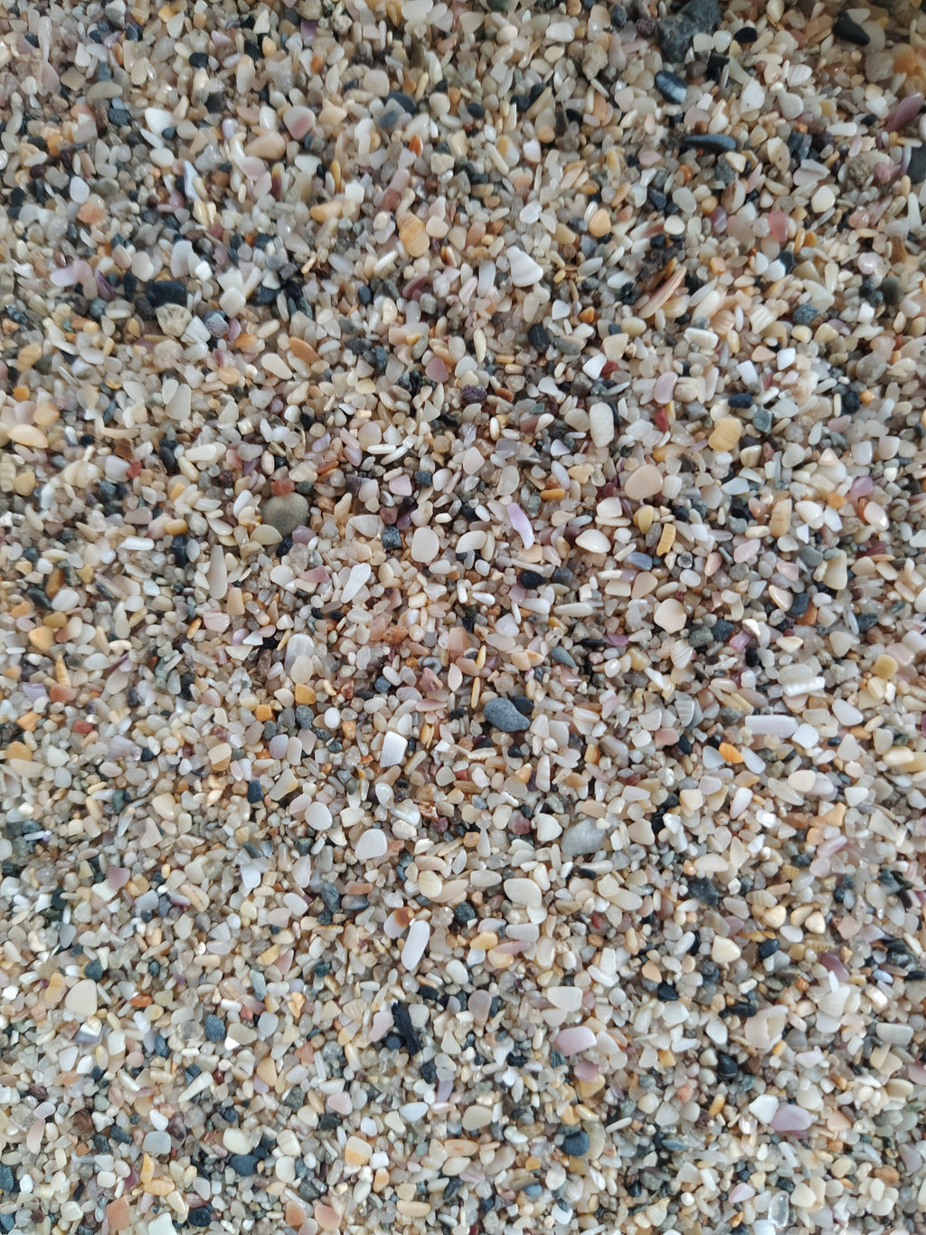 Vitasand Pro-04 3mm Midye Kırığı Akvaryum Kumu