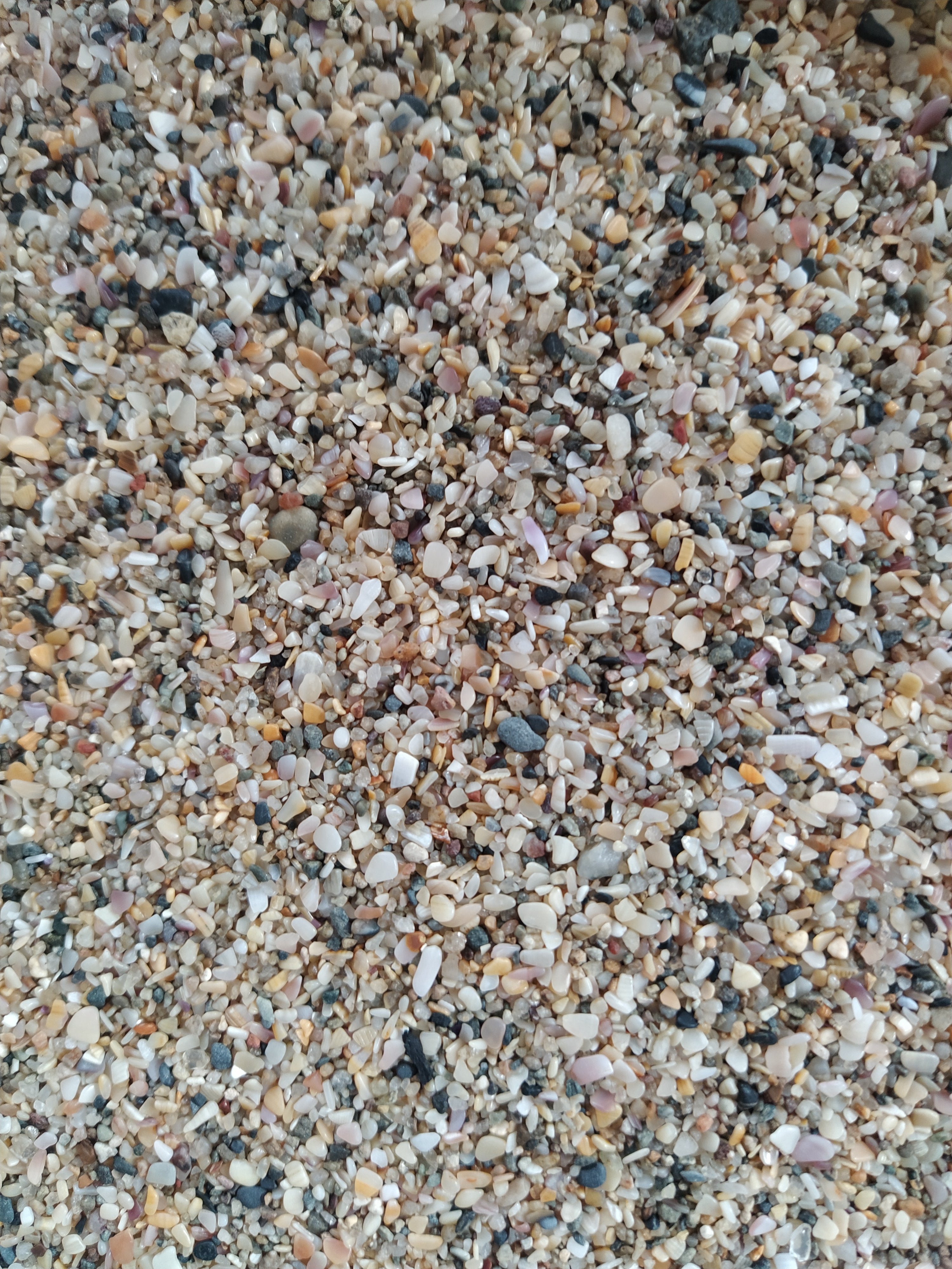 Vitasand Pro-04 3mm Midye Kırığı Akvaryum Kumu