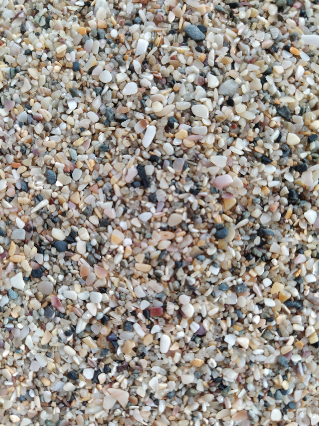 Vitasand Pro-04 3mm Midye Kırığı Akvaryum Kumu