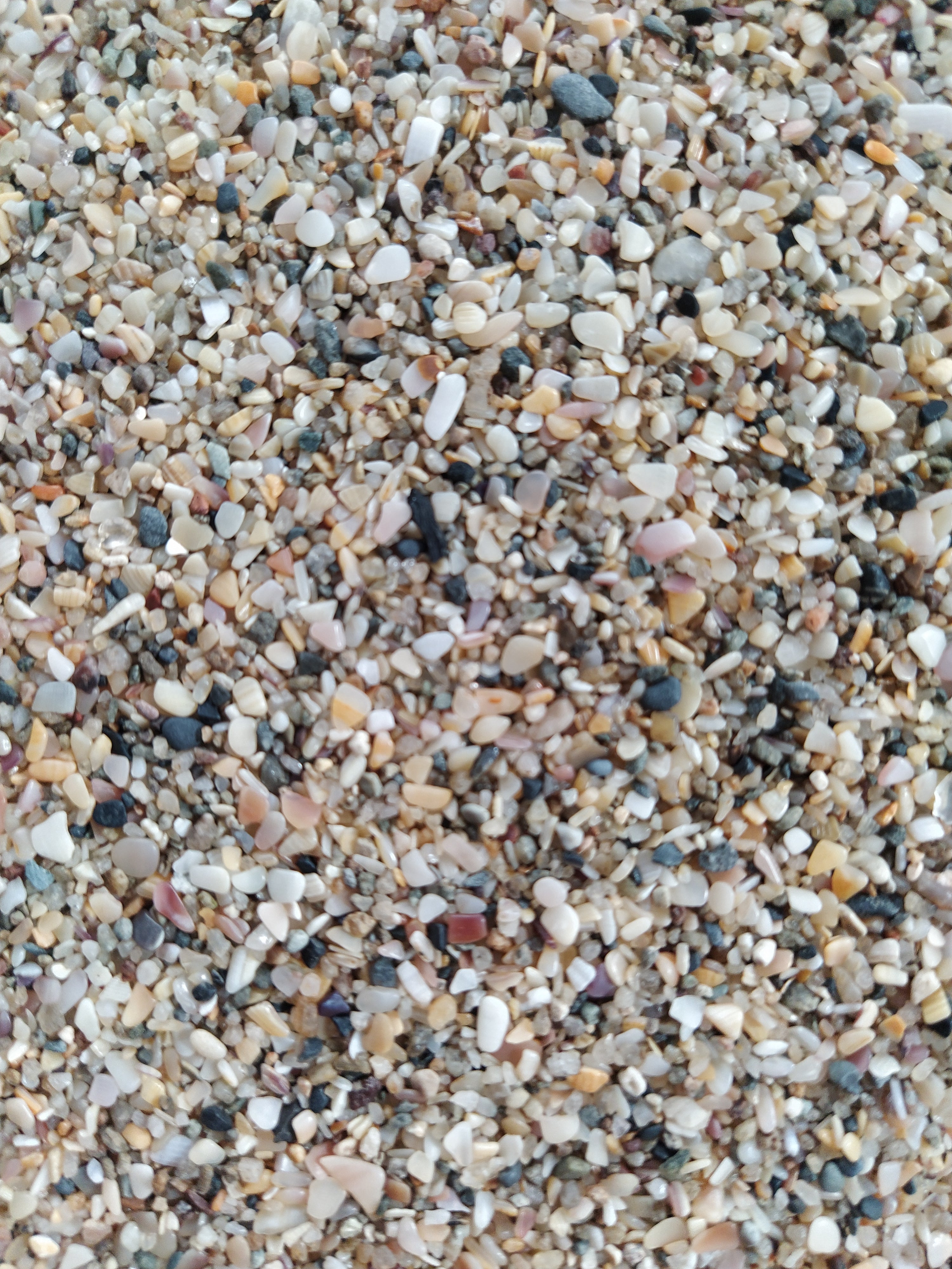 Vitasand Pro-04 3mm Midye Kırığı Akvaryum Kumu